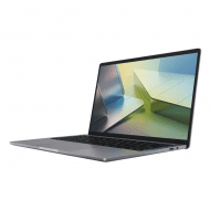 Laptops 