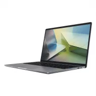 Laptops 