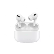 Earphones